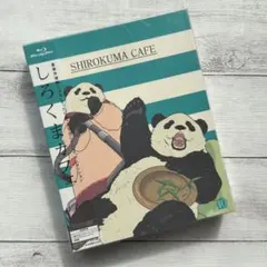 Item thumbnail for item af07e3ac-efbf-4f55-a61e-28229c2f93e9