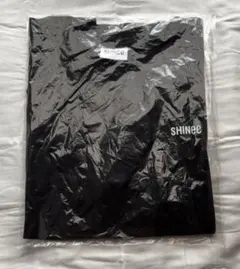 Item thumbnail for item 238bd5f5-2291-4510-8fb2-589a67316a8b