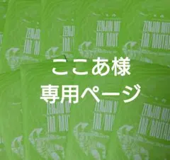 ここあ様専用ページ