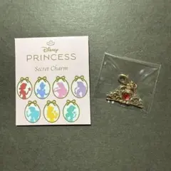 【ディズニーストア　プリンセス　シークレットチャーム】白雪姫