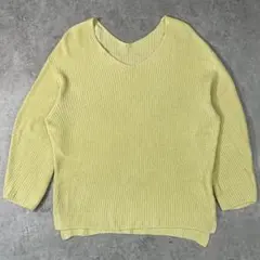 【美品】INÉD イネド Vネックコットンニット 日本製 9 (M)