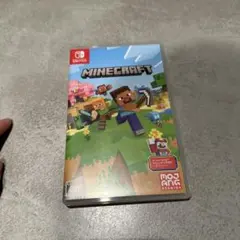Switch マイクラ ソフト