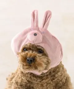 スリーコインズ　3COINS ランダムかぶりものうさぎ　犬