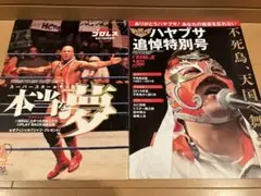 週刊プロレス No.1160 2003年8月10日号 増刊 ハヤブサ 追悼特別号