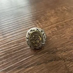 Item thumbnail for item 145fa981-b934-4895-952a-80a9fb704c92