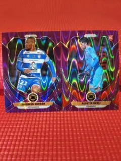 Item thumbnail for item 292706c7-85f1-44af-95e8-6d180411b3bc