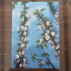 2025年最新】スィベル ギュレーの人気アイテム - メルカリ