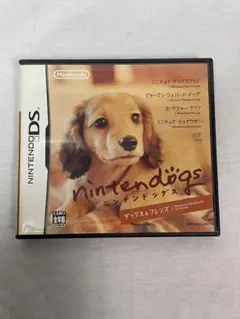 A26 ニンテンドーDSソフト ニンテンドックス ダックス&フレンズ