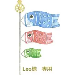 Leo様　専用