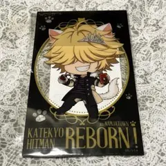 家庭教師ヒットマンREBORN! CCGカードゲーム ベルフェゴール R - メルカリ