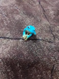 Item thumbnail for item 81f58654-3de1-47f1-912d-09a772b5fa66