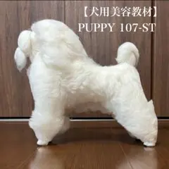 2026年最新】グルーミングレッスンドッグの人気アイテム - メルカリ