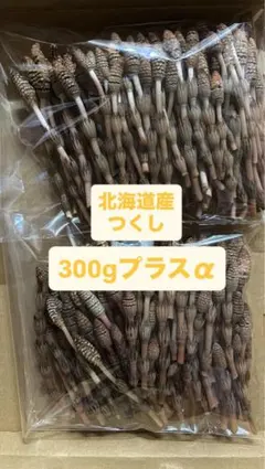 北海道 つくし 300gプラスα
