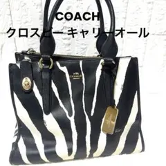 2026年最新】coach コーチ ゼブラ柄の人気アイテム - メルカリ