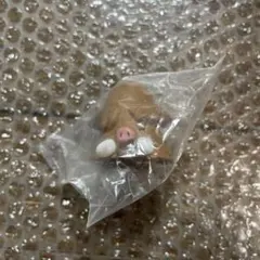 ポケモン　イノムー