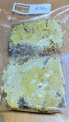 花より団子様専用 日本蜜蜂の巣蜜(コムハニー)420g