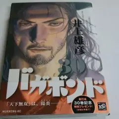 バガボンド 30