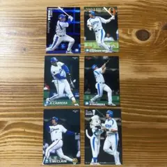【プロ野球】トレーディングカードセット　西武ライオンズ　フィールドプレイヤー編