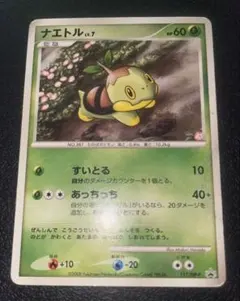 2025年最新】ナエトル プロモの人気アイテム - メルカリ