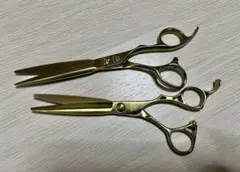 2026年最新】MAYUMI シザーの人気アイテム - メルカリ