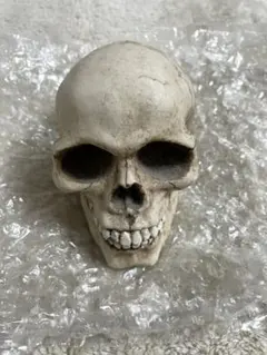 2025年最新】頭蓋 置物の人気アイテム - メルカリ 骸骨 スカル 頭蓋骨