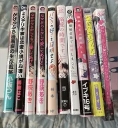 ＢＬ★⑥ まとめ売り、バラ売り　１７冊セット【変更有り】 BL☆① まとめ売り、バラ売り 17冊 【変更有り】 - メルカリ