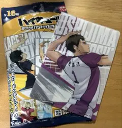 ハイキュー‼︎ ミニクリアファイル A6サイズ　牛島若利