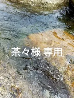 Item thumbnail for item 49388515-d110-4acc-a8e0-c47fa16d12de