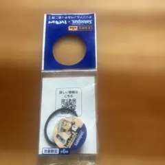 Item thumbnail for item 73300455-1e22-4945-ac17-c296fe185de0