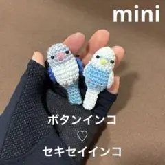 ◇ ボタンインコ♡白文鳥♡セキセイインコ♡カラス♡文鳥　あみぐるみ