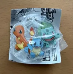 ポケモン ポケットモンスター 旅立ちの3匹 アクリルスイング キーホルダー