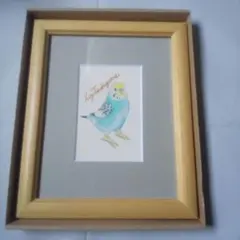 青いことり工房 セキセイインコ 色鉛筆 木製フレーム付き+おまけ