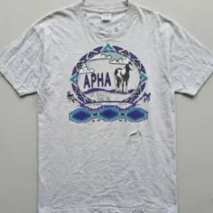 90s USA製 フルーツオブザルーム APHA ヴィンテージ Tシャツ
