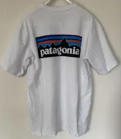 Patagonia ポケットTシャツ ホワイトのサムネイル