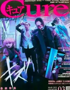 SALE⭐️reikiさん★トレカ付き◆Cure◆Vol.222◆キズ