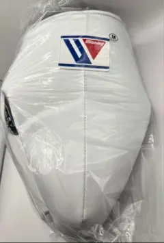 Item thumbnail for item e2bc4e57-bc5b-4b71-b25f-201bd4be3705