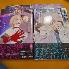 Subドルセンセーショナル上下