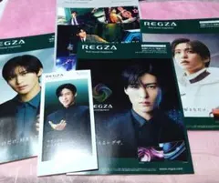 目黒蓮REGZA カタログ パンフレット ５種類