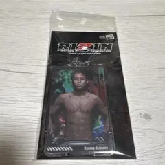 ICカード パスケース PIICA RIZIN 秋元強真