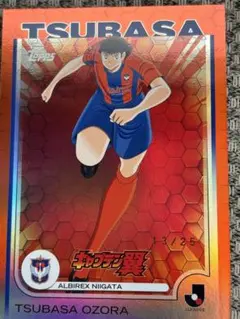 topps 2025 jリーグ