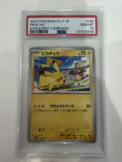 2025 ピカチュウ #291 GEM MT 10 PSA10 鑑定品 - メルカリ