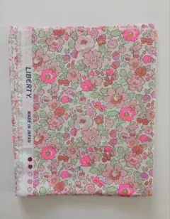 Item thumbnail for item debf5b5a-6de7-4480-9f22-5d78a75ca4d9