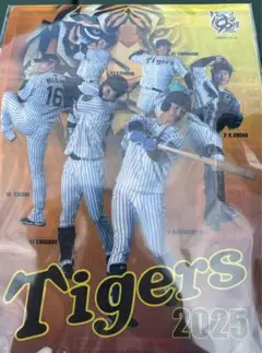 阪神タイガース　クリアファイル