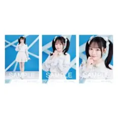 本田珠由記 缶バッジ 特別公演衣装2025 アリーナツアー2026 - メルカリ
