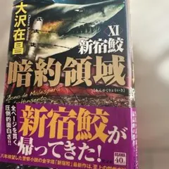 遊戯王 皆既日蝕の書 3枚 シークレット LOCH アジア 亜 - メルカリ