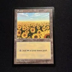 MTG APAC 平地 SP-\MP+程度 2026年最新】apac 平地の人気アイテム - メルカリ