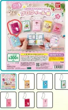 サンリオキャラクターズ プロフィール帳　チャーミーキティ