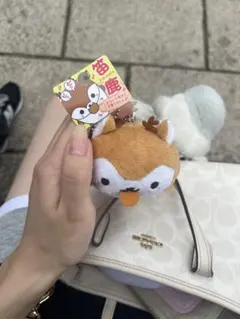 笛鹿