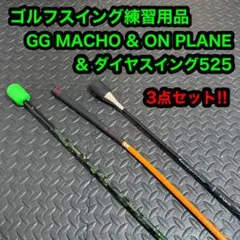 Item thumbnail for item c09a1595-8d51-46b3-bde0-e6eb47254dee