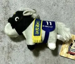 アネ(体調不良につき発送遅れる可能性有)様 リクエスト 2点 まとめ商品